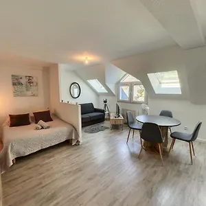 Magnifique T1 Bis Triangle D Or - Parking - Wifi , Annecy France